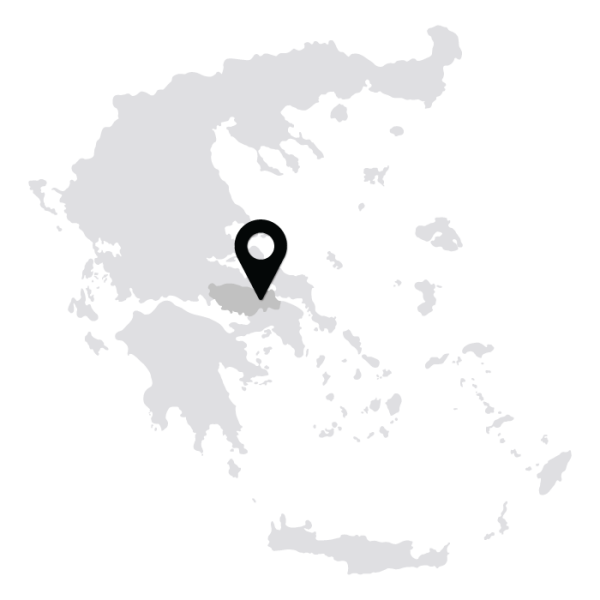 Αιολικός Σταθμός Μαρτίνου ΜΙΚΕ